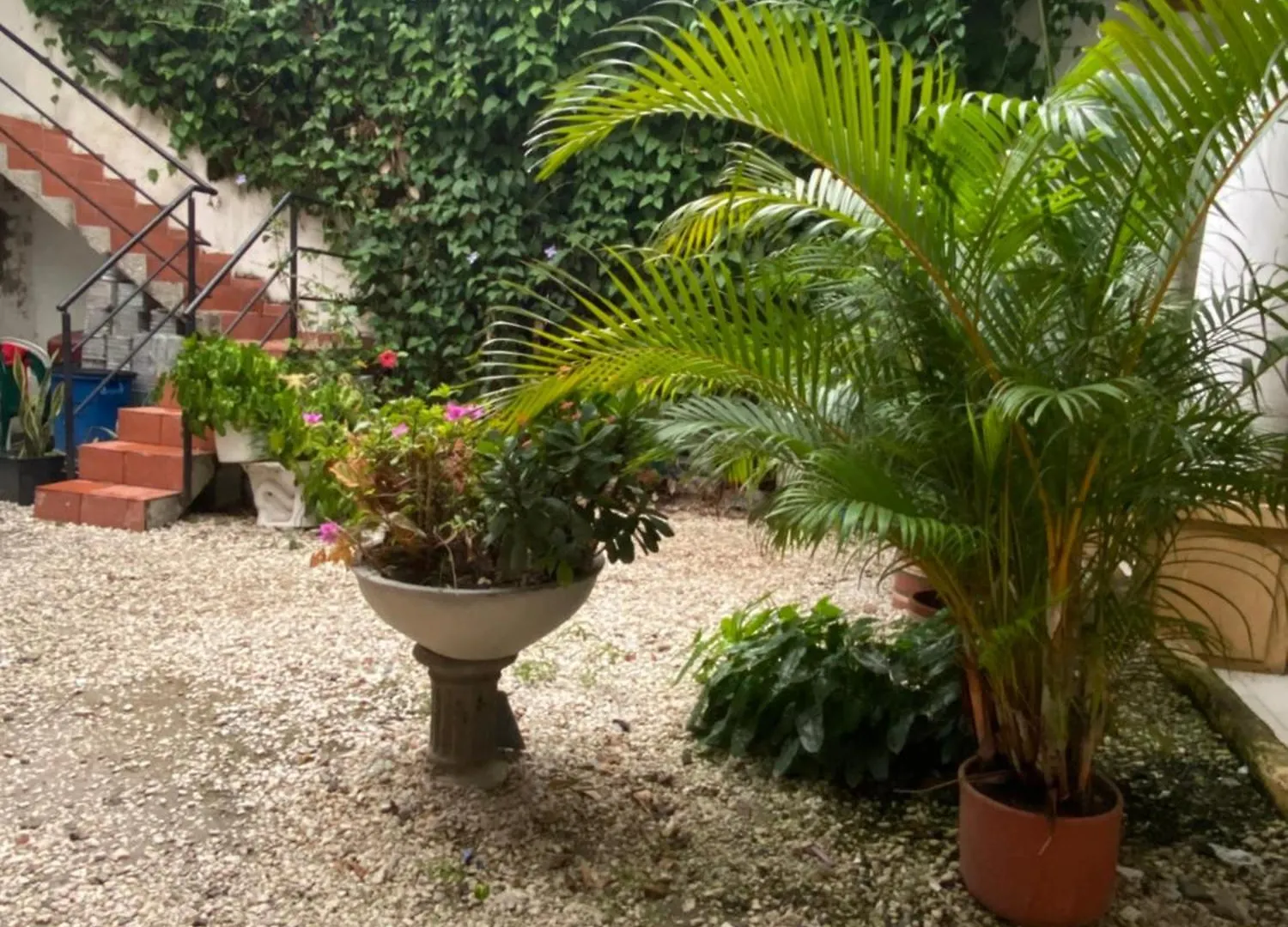 Hostal Brisas Del Mar Santa Marta  Santa Marta (Magdalena)
