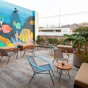  호스텔 Distrito Hostel